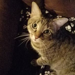 Meet your Posher, Riley